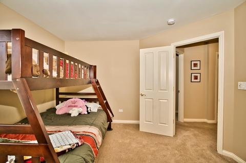 13417 Lakeshore Dr, Plainfield, IL 60585 photo 50