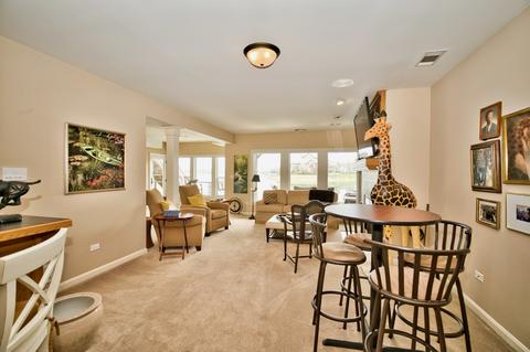 13417 Lakeshore Dr, Plainfield, IL 60585 photo 66