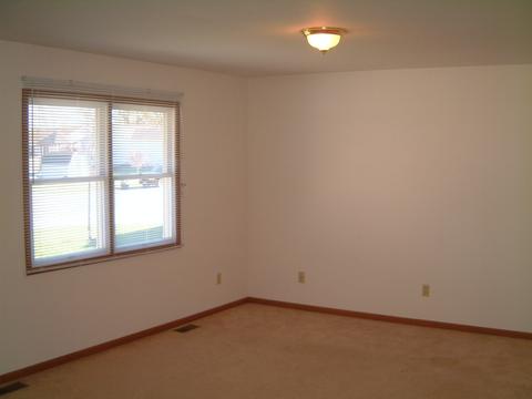 280 S Will Rd, Diamond, IL 60416 photo 3