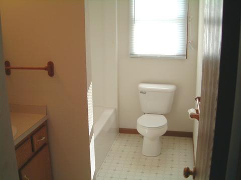 280 S Will Rd, Diamond, IL 60416 photo 6
