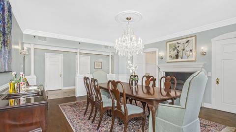 20 E Cedar St #15C, Chicago, IL 60611 photo 9