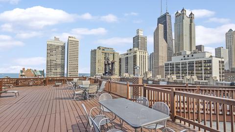 20 E Cedar St #15C, Chicago, IL 60611 photo 29