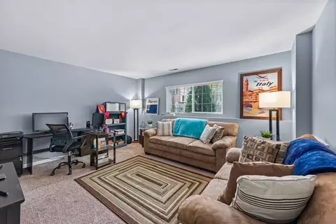 290 Cassidy Ln, Elgin, IL 60124 photo 29