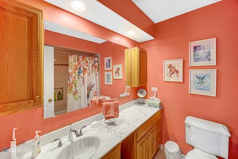 1005 E Bailey Rd, Naperville, IL 60565 photo 19