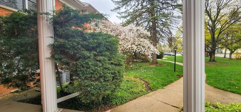 1450 Wing St #5B, Elgin, IL 60123 photo 35