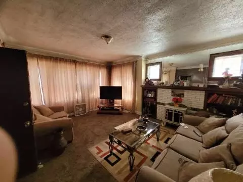  8046 S Manistee Ave, Chicago, IL 60617 photo 12