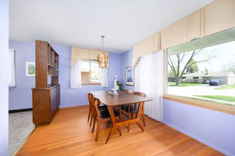 366 Lance Dr, Des Plaines, IL 60016 photo 8
