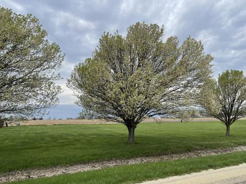 lot6 S 16000 W Rd, Buckingham, IL 60917