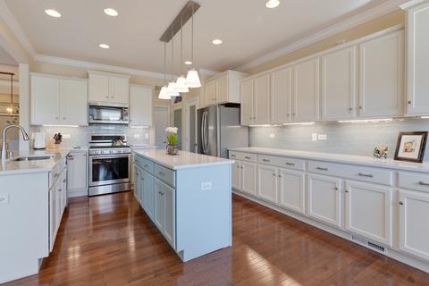 2458 Vista Trl, Elgin, IL 60124 photo 14