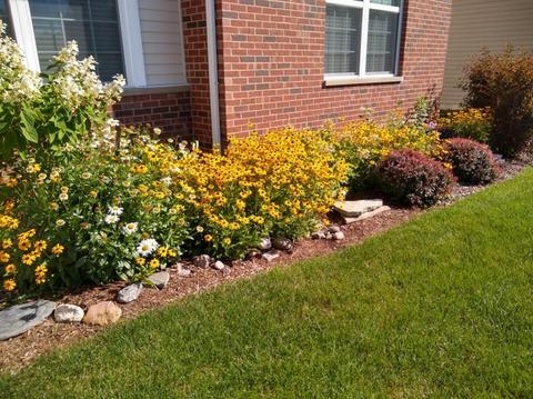 2458 Vista Trl, Elgin, IL 60124 photo 37