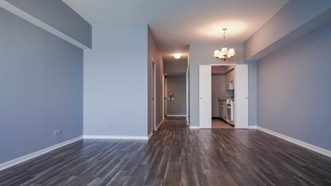 175 E Delaware Pl #4904, Chicago, IL 60611 photo 5
