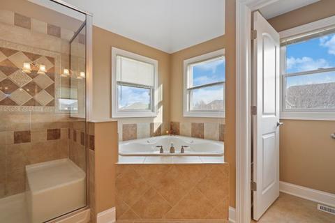 12915 Alpine Way, Plainfield, IL 60585 photo 35