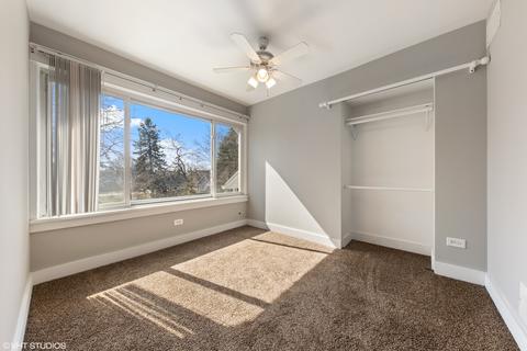 33 E Maple Ave, Roselle, IL 60172 photo 21