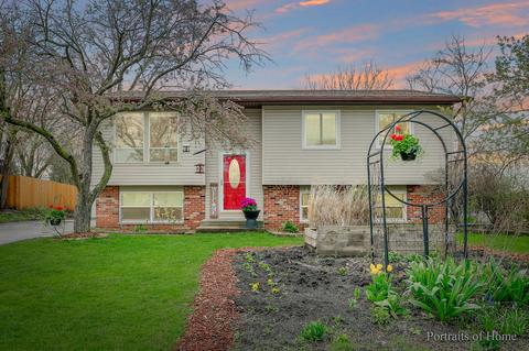 141 Plainview Dr, Bolingbrook, IL 60440 photo 1