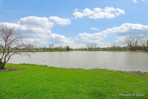 141 Plainview Dr, Bolingbrook, IL 60440 photo 26