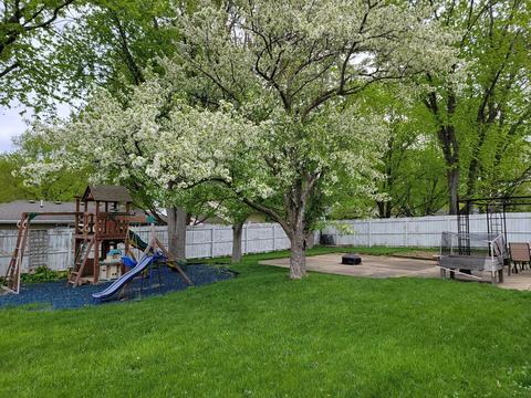 1800 Truman Dr, Normal, IL 61761 photo 15