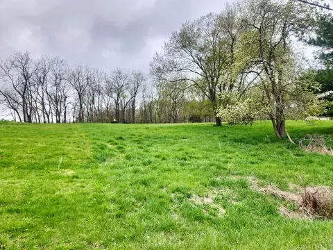 lot1583 Lake Wildwood Dr, Varna, IL 61375