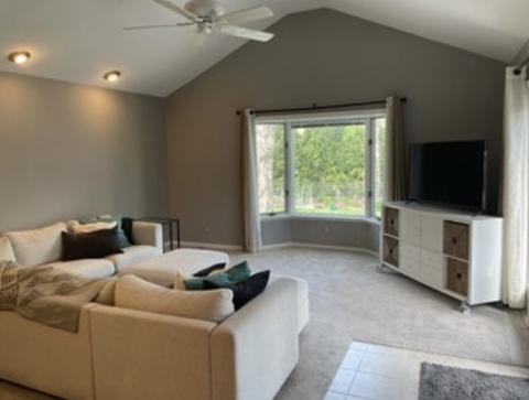 554 E Park Ave, Elmhurst, IL 60126 photo 5