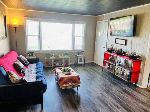 312 S 1st St, Cherry, IL 61317 photo 5