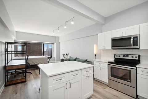 175 E Delaware Pl #5219, Chicago, IL 60611 photo 6