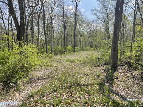 2730 E 1959th Rd, Ottawa, IL 61350 photo 1