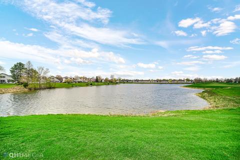 21132 W Buckeye Ct, Plainfield, IL 60544 photo 2