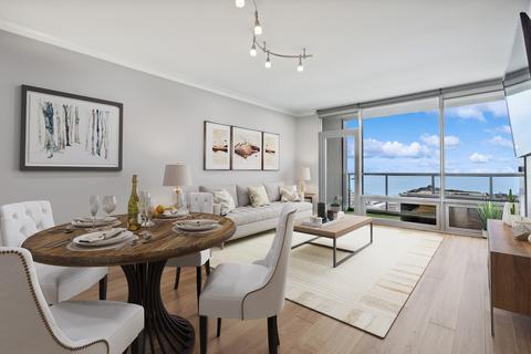 100 E 14th St #2803, Chicago, IL 60605 photo 3