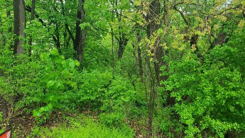 Lot 14 North Shore Drive, Oakwood Hills, IL 60013
