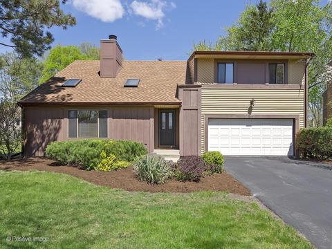 969 Collingwood Dr, Naperville, IL 60540