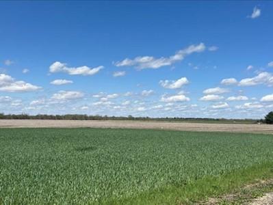 0 Blink Rd, Fulton, IL 61252