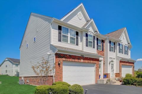12902 Blue Spruce Dr, Plainfield, IL 60585 photo 48