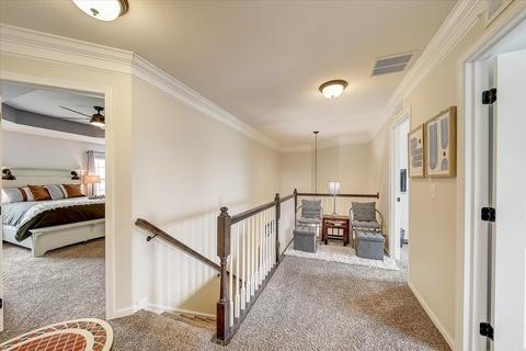 12902 Blue Spruce Dr, Plainfield, IL 60585 photo 23