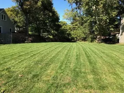 1023 E Willow Ave, Wheaton, IL 60187 photo 2
