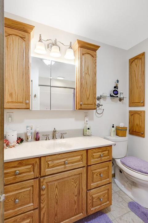 8 Julie Dr, Ludlow, IL 60949 photo 47