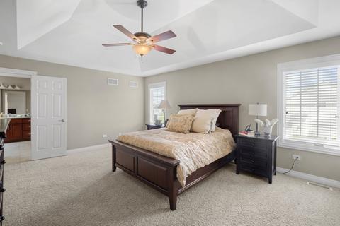 25226 W Jackson Ln, Plainfield, IL 60586 photo 21