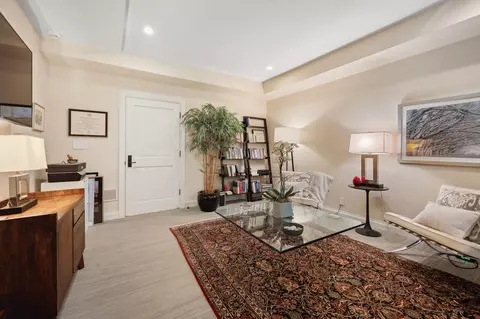 48 E Cedar St, Chicago, IL 60611 photo 40