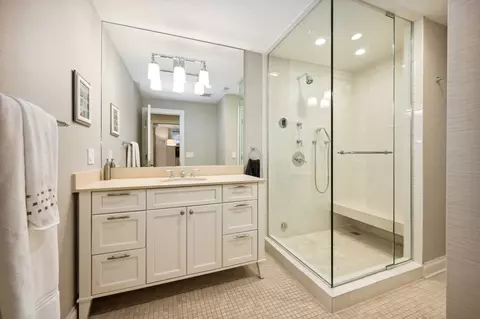 48 E Cedar St, Chicago, IL 60611 photo 42