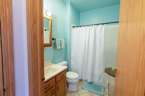 21054 W Walnut Ln, Plainfield, IL 60544 photo 14