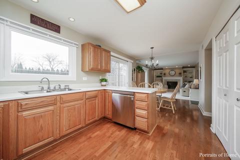 955 Freeman Rd, Hoffman Estates, IL 60192 photo 6