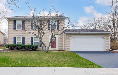 955 Freeman Rd, Hoffman Estates, IL 60192 photo 1