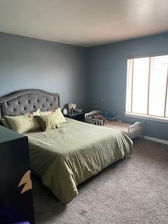 14101 Danbury Ct, Plainfield, IL 60544 photo 10