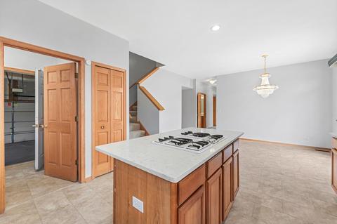 1264 Hunters Ridge E Ln, Hoffman Estates, IL 60192 photo 19