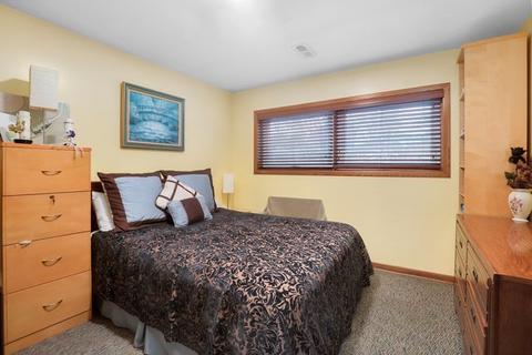 287 Cornell Ave, Des Plaines, IL 60016 photo 23