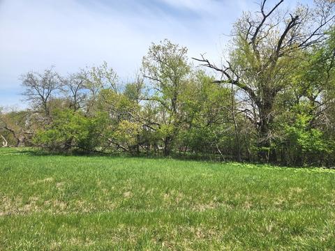 1494 Westover Drive, Varna, IL 61375
