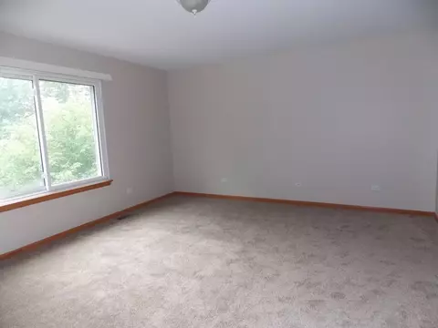 1908 Arbor Falls Dr, Plainfield, IL 60586 photo 15