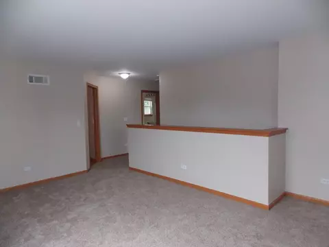1908 Arbor Falls Dr, Plainfield, IL 60586 photo 12