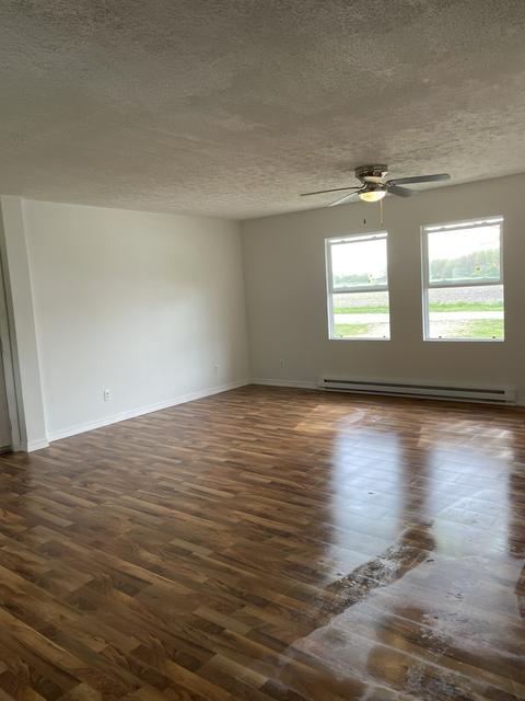 403 N 1st St, Sheldon, IL 60966 photo 7