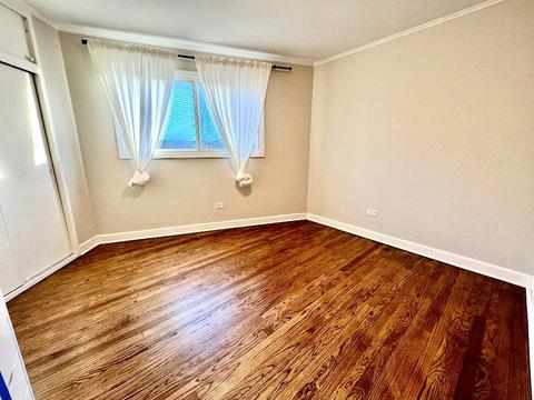 224 N Forest Ave, Hillside, IL 60162 photo 15