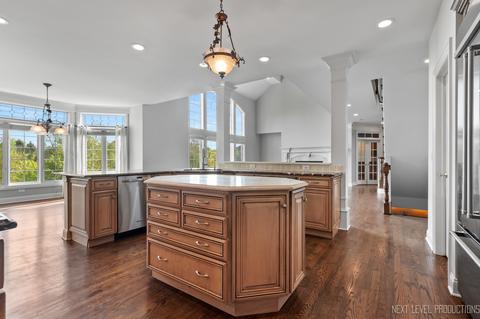 39 W209 Fryendall Ct, Geneva, IL 60134 photo 9