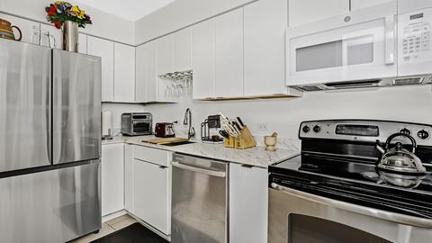 40 E 9th St #1305, Chicago, IL 60605 photo 11